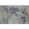 Image 4 : "PORTRAIT OF OSCAR FAERMAN" BY JOSEPH OPPENHEIMER - FRAMED OIL ON CANVAS