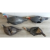 Image 1 : LOT OF 4 - PRIMOS TURKEY DECOYS 