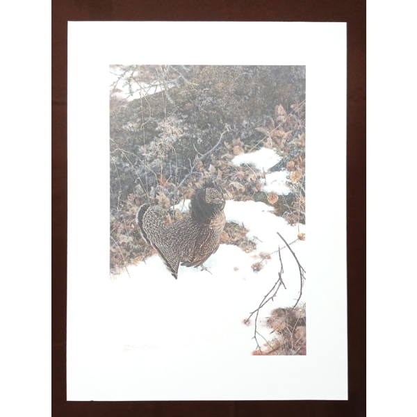 "RUFFLED GROUSE" BY GEORGE MCLEAN (PRS CDN ARTIST) - PRINT