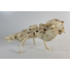 Image 4 : MONSTER - SIGNED - BONE