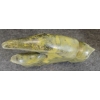 Image 7 : ANIMAL SPIRIT - SIGNED - STONE
