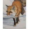 Image 2 : WINTER FOX BY CHRISTINE MARSHALL (PRS CDN ARTIST) - FRAMED PRINT