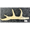 Image 1 : HUNTING SCENE W/ POLAR BEAR BY UNKNOWN ARTIST - ANTLER