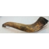 Image 2 : NEW FOUNDLAND / NOVA SCOTIA POWDER HORN - C. 1860'S