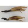 Image 3 : LOT OF 2 - BIRDS BY UNKNOWN ARTIST - BONE