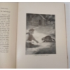 Image 8 : 1903 "A HERMIT'S WILD FRIENDS" BY MASON A. WALTON - HARDCOVER BOOK