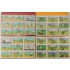 Image 5 : QTY OF MEDIA COLLECTIBLE CARDS - GOOSEBUMPS, LOONEY-TUNES, JURASSIC PARK, DICK TRACY, ETC