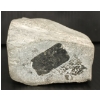 Image 7 : ROCK FACE BY UNKNOWN ARTIST - STONE