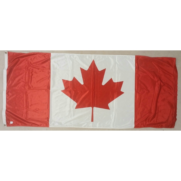 CDN FLAG