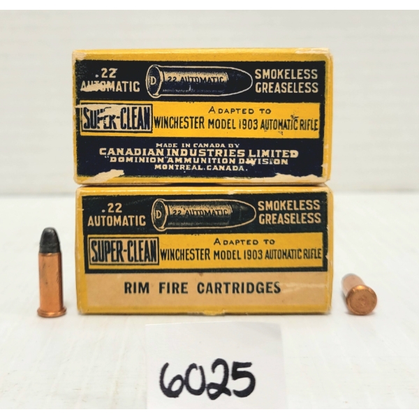 AMMO: 100X DOMINION & CIL .22 AUTO 45 GR.
