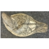 Image 6 : ARTEK FAUX SCRIMSHAW WATERFOWL TRINKET BOX - CIRCA 1989
