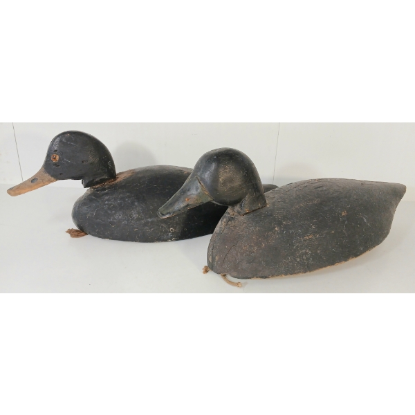 LOT OF 2 - GOLDEN EYED & BLUEBILLED DECOY DUCKS