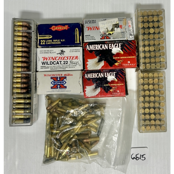 AMMO: APPROX 550X MIXED .22 LR & .22 SHORT
