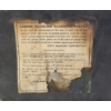 Image 3 : LOT OF 2 - CONTAINS LEAD SSP PLATES