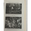 Image 6 : LOT OF 5 - WWII GERMAN PUBLICATIONS "GESTAPO", "SS REGALIA", "SECRET WEAPONS OF THIRD REICH", ETC