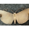 Image 2 : NORWEGIAN MARIUS HAMMER SILVER & GUILLOCHE ENAMEL BUTTERFLY BROOCH