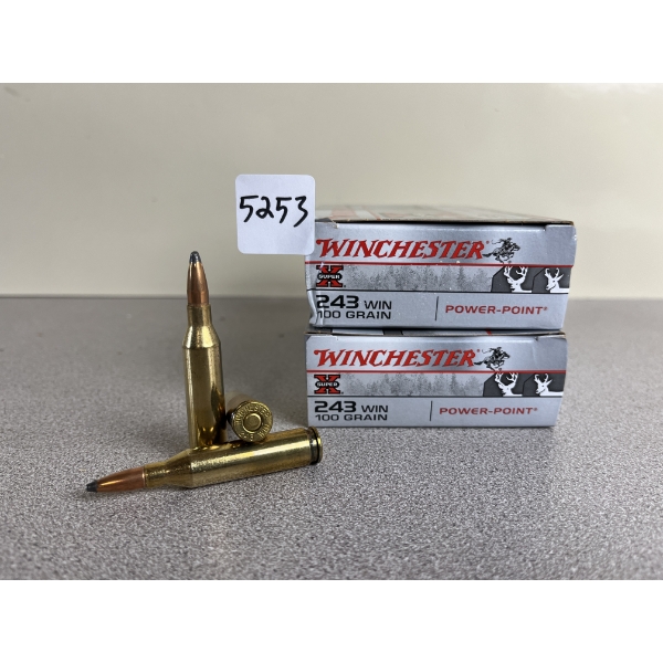 AMMO: 40X WINCHESTER .243 WIN 100 GR. POWERPOINT 