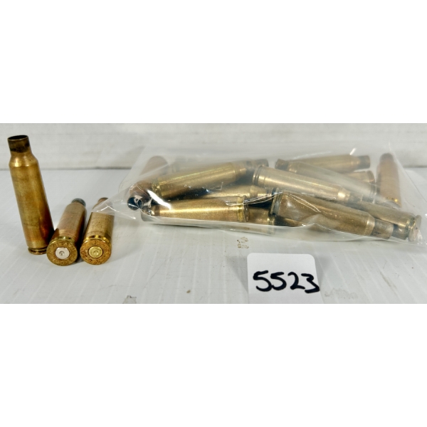 BRASS: 20X .250 SAVAGE