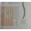 Image 5 : LOT OF 3 - "HOW WEAPONS WORK", "WEAPONS THE DIAGRAM GROUP" & "WORLD WAR II SMALL ARMS" - HARDCOVERS