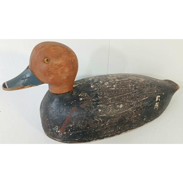 GOLDEN EYED DECOY DUCK