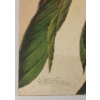 Image 3 : LOT OF 2 - 1988 BIRDS IN BERRY TREES BY MARTEN VISSER (PRS CDN ARTIST) - ACRYLIC ON BOARD