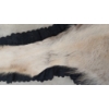 Image 8 : TIMBER WOLF SKIN RUG
