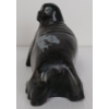 Image 5 : WALRUS - STONE 