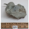Image 6 : FACE & WHALE - SIGNED - STONE
