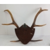 Image 2 : LOT OF 3 - ANTLER PLAQUE & PIECES