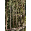Image 2 : LOT OF 2 - FARM GATE - 10 FOOT