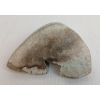 Image 8 : HUMAN FACE BY UNKNOWN ARTIST - STONE