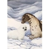 Image 2 : "GENTLE MOMENTS - HARP SEALS" BY CHRISTINE MARSHALL (PRS CDN ARTIST) - LITHO PRINT