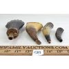 Image 5 : LOT OF 4 - POWDER FLASK & POWDER HORNS