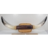 Image 1 : HARM-N-E LONG HORNS MOUNT