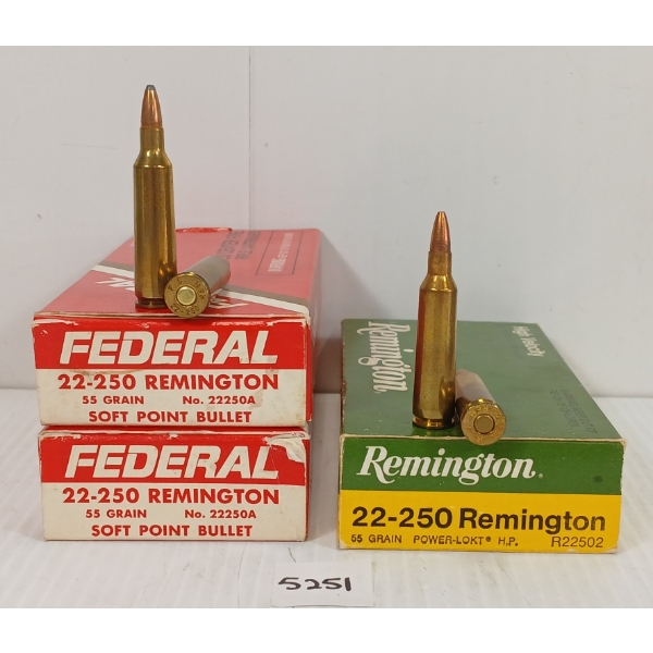 AMMO: 60X FEDERAL & REMINGTON .22-250 REM - 55GR - SP