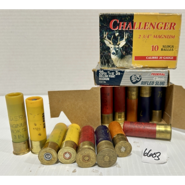 AMMO: 35X MIXED 16 GA 2-3/4 IN & 20 GA 2-3/4 IN & 3 IN