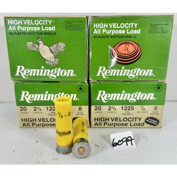 AMMO: 80X REMINGTON 20 GA 2-3/4 IN - #8