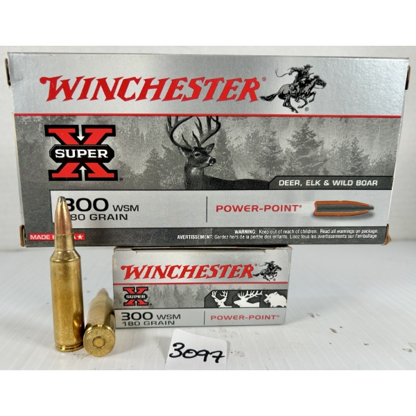 AMMO: 40X WINCHESTER .300 WSM - 180 GR SP