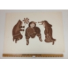 Image 2 : "SONG OF POWER" BY ANAGINAK KALVAK - STONECUT