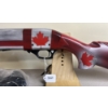 Image 2 : REVOLUTION ARMS MAULER IN 12GA