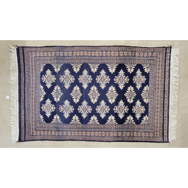 HAND KNOTTED PAKISTAN WOOL AREA RUG