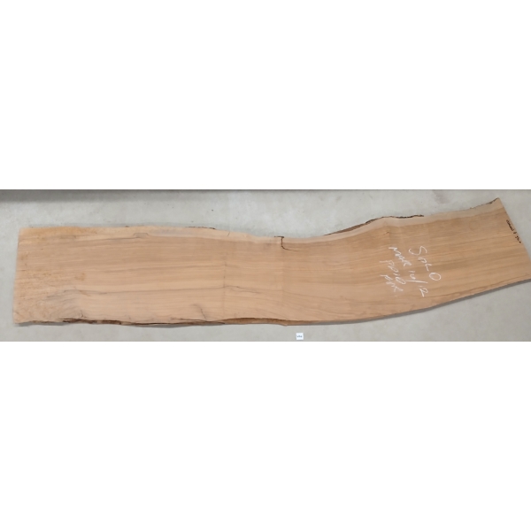 OLIVEWOOD SLAB W/ LIVE EDGE