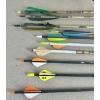 Image 2 : LOT OF 11 - 10X ARROWS & QUIVER