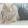 Image 2 : "DOZING LYNX" BY ROBERT BATEMAN (PRS CDN ARTIST) - FRAMED PRINT