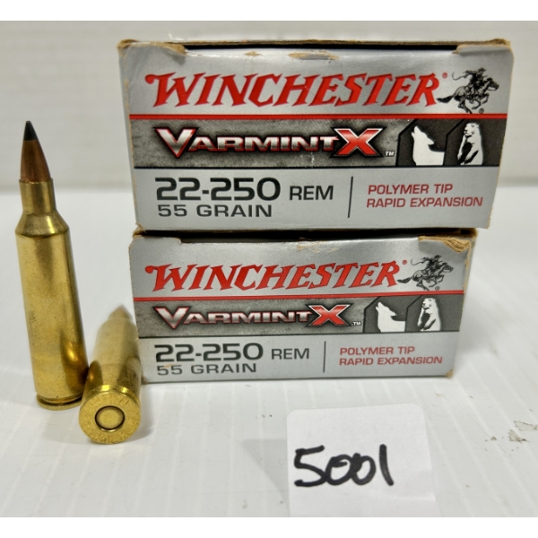 AMMO: 40X WINCHESTER .22-250 REM - 55 GR POLY TIP