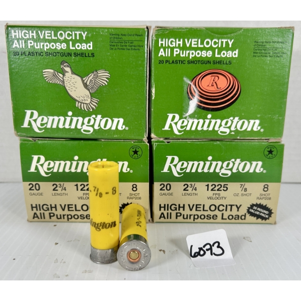 AMMO: 80X REMINGTON 20 GA 2-3/4 IN - #8