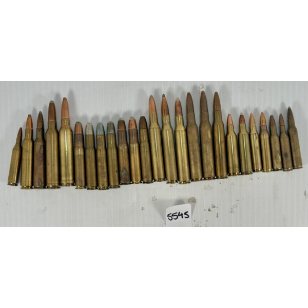 AMMO: 25X REMINGTON CARTRIDGES