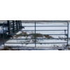 Image 1 : UNUSED FARM GATE 