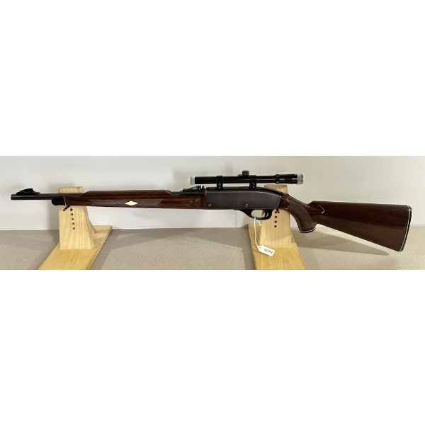 REMINGTON NYLON 66 IN .22 LR