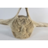 Image 3 : ABSTRACT PERSON BY UNKNOWN ARTIST - WHALE BONE 